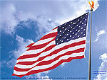 Living American  USA Flag Screenshot